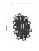 Methods and systems of using exosomes for determining phenotypes diagram and image