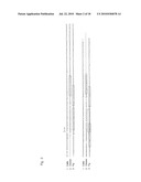 OLIGONUCLEOTIDE SEQUENCES THAT IDENTIFY SPECIES OF ANIMAL diagram and image