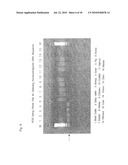 OLIGONUCLEOTIDE SEQUENCES THAT IDENTIFY SPECIES OF ANIMAL diagram and image