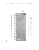 OLIGONUCLEOTIDE SEQUENCES THAT IDENTIFY SPECIES OF ANIMAL diagram and image