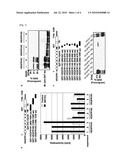 METHODS OF IDENTIFYING AGENTS THAT MODULATE METHYLATION OF VEGFR1 BY SMYD3 diagram and image