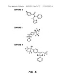 SCREENING METHODS USING SITOSTEROLEMIA SUSCEPTIBILITY GENE (SSG) POLYPEPTIDES diagram and image