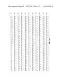 SCREENING METHODS USING SITOSTEROLEMIA SUSCEPTIBILITY GENE (SSG) POLYPEPTIDES diagram and image