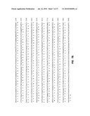 SCREENING METHODS USING SITOSTEROLEMIA SUSCEPTIBILITY GENE (SSG) POLYPEPTIDES diagram and image