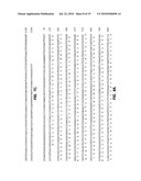 SCREENING METHODS USING SITOSTEROLEMIA SUSCEPTIBILITY GENE (SSG) POLYPEPTIDES diagram and image