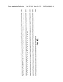 SCREENING METHODS USING SITOSTEROLEMIA SUSCEPTIBILITY GENE (SSG) POLYPEPTIDES diagram and image