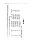 SCREENING METHODS USING SITOSTEROLEMIA SUSCEPTIBILITY GENE (SSG) POLYPEPTIDES diagram and image