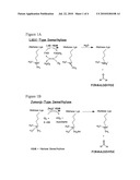 METHODS AND COMPOSITIONS RELATING TO ENZYME ASSAYS diagram and image