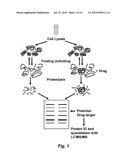 NOVEL AFFINITY BASED METHOD FOR DRUG TARGET IDENTIFICATION diagram and image