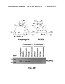 NOVEL AFFINITY BASED METHOD FOR DRUG TARGET IDENTIFICATION diagram and image