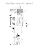 NOVEL AFFINITY BASED METHOD FOR DRUG TARGET IDENTIFICATION diagram and image