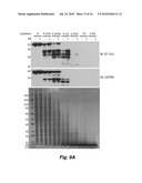 NOVEL AFFINITY BASED METHOD FOR DRUG TARGET IDENTIFICATION diagram and image