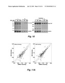 NOVEL AFFINITY BASED METHOD FOR DRUG TARGET IDENTIFICATION diagram and image