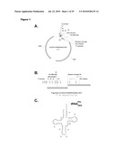 MONO CHARGING SYSTEM FOR SELECTIVELY INTRODUCING NON-NATIVE AMINO ACIDS INTO PROTEINS USING AN IN VITRO PROTEIN SYNTHESIS SYSTEM diagram and image