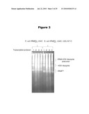 MONO CHARGING SYSTEM FOR SELECTIVELY INTRODUCING NON-NATIVE AMINO ACIDS INTO PROTEINS USING AN IN VITRO PROTEIN SYNTHESIS SYSTEM diagram and image