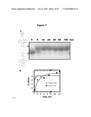 MONO CHARGING SYSTEM FOR SELECTIVELY INTRODUCING NON-NATIVE AMINO ACIDS INTO PROTEINS USING AN IN VITRO PROTEIN SYNTHESIS SYSTEM diagram and image