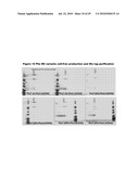 MONO CHARGING SYSTEM FOR SELECTIVELY INTRODUCING NON-NATIVE AMINO ACIDS INTO PROTEINS USING AN IN VITRO PROTEIN SYNTHESIS SYSTEM diagram and image