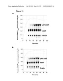 MONO CHARGING SYSTEM FOR SELECTIVELY INTRODUCING NON-NATIVE AMINO ACIDS INTO PROTEINS USING AN IN VITRO PROTEIN SYNTHESIS SYSTEM diagram and image