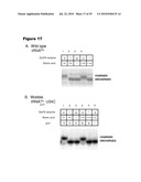 MONO CHARGING SYSTEM FOR SELECTIVELY INTRODUCING NON-NATIVE AMINO ACIDS INTO PROTEINS USING AN IN VITRO PROTEIN SYNTHESIS SYSTEM diagram and image