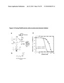 MONO CHARGING SYSTEM FOR SELECTIVELY INTRODUCING NON-NATIVE AMINO ACIDS INTO PROTEINS USING AN IN VITRO PROTEIN SYNTHESIS SYSTEM diagram and image