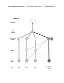 MONO CHARGING SYSTEM FOR SELECTIVELY INTRODUCING NON-NATIVE AMINO ACIDS INTO PROTEINS USING AN IN VITRO PROTEIN SYNTHESIS SYSTEM diagram and image