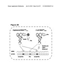 MONO CHARGING SYSTEM FOR SELECTIVELY INTRODUCING NON-NATIVE AMINO ACIDS INTO PROTEINS USING AN IN VITRO PROTEIN SYNTHESIS SYSTEM diagram and image