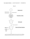 MONO CHARGING SYSTEM FOR SELECTIVELY INTRODUCING NON-NATIVE AMINO ACIDS INTO PROTEINS USING AN IN VITRO PROTEIN SYNTHESIS SYSTEM diagram and image