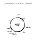 Methods For Enhancing A Secretion Efficiency Of Recombinant Foreign Protein In Yeast Expression System diagram and image