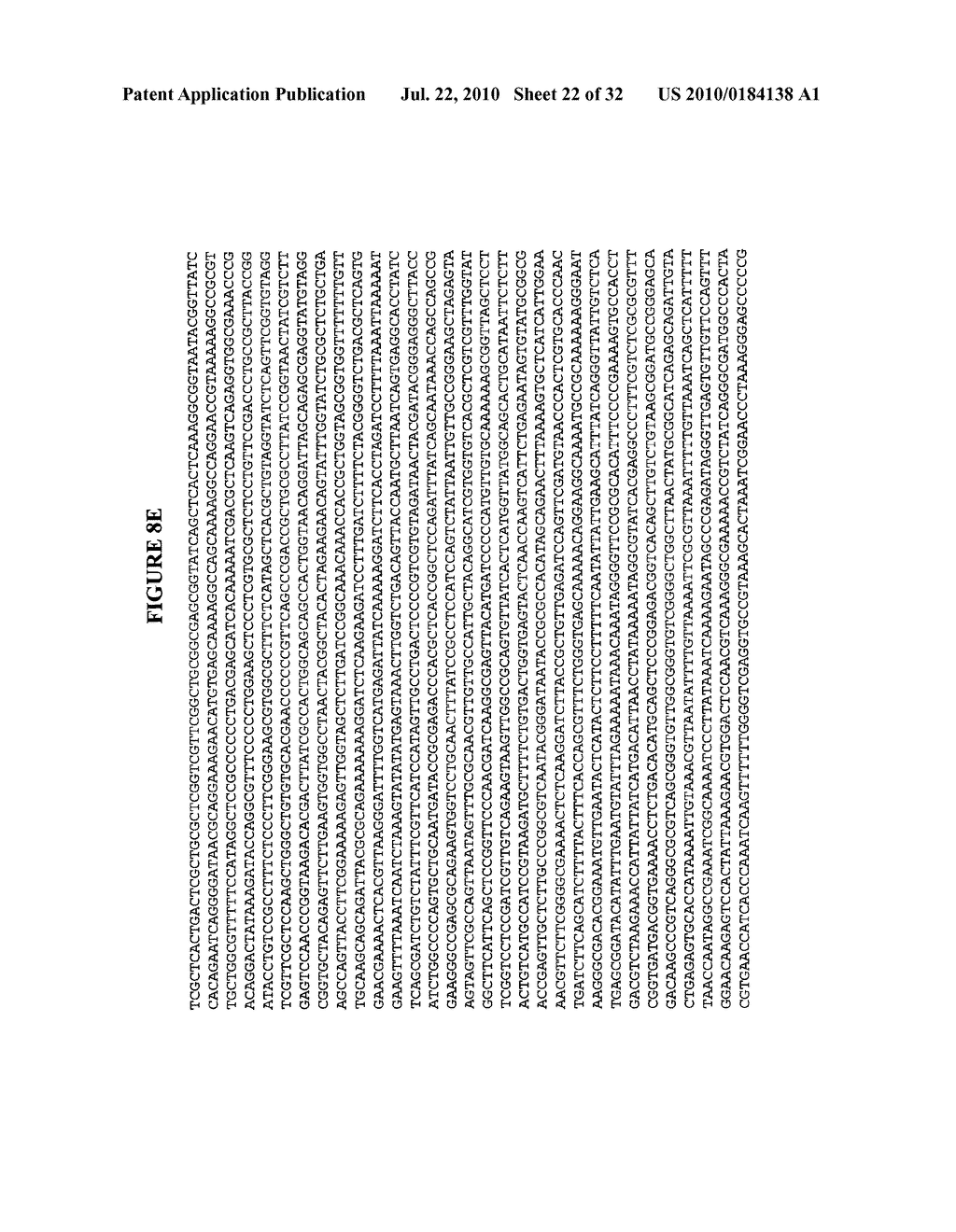 Heterologous and Homologous Cellulase Expression System - diagram, schematic, and image 23