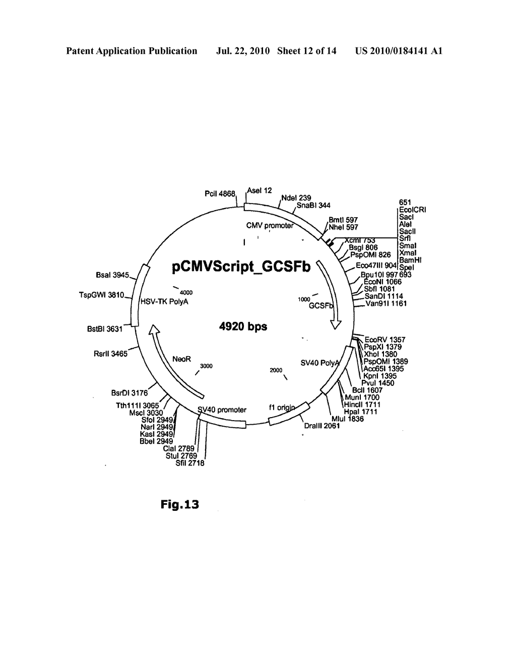 Serum-free Stable Transfection and Production of Recombinant Human Proteins in Human Cell Lines - diagram, schematic, and image 13