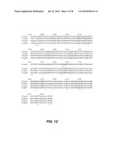 ANTIBODY-BASED THERAPEUTICS WITH ENHANCED ADCC ACTIVITY diagram and image