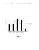 ANTIBODY-BASED THERAPEUTICS WITH ENHANCED ADCC ACTIVITY diagram and image