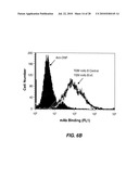 ANTIBODY-BASED THERAPEUTICS WITH ENHANCED ADCC ACTIVITY diagram and image