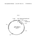 PLASMID FOR EXPRESSING THIOREDOXIN FUSION PROTEIN AND METHOD FOR PRODUCING TARGET PROTEIN USING SAME diagram and image