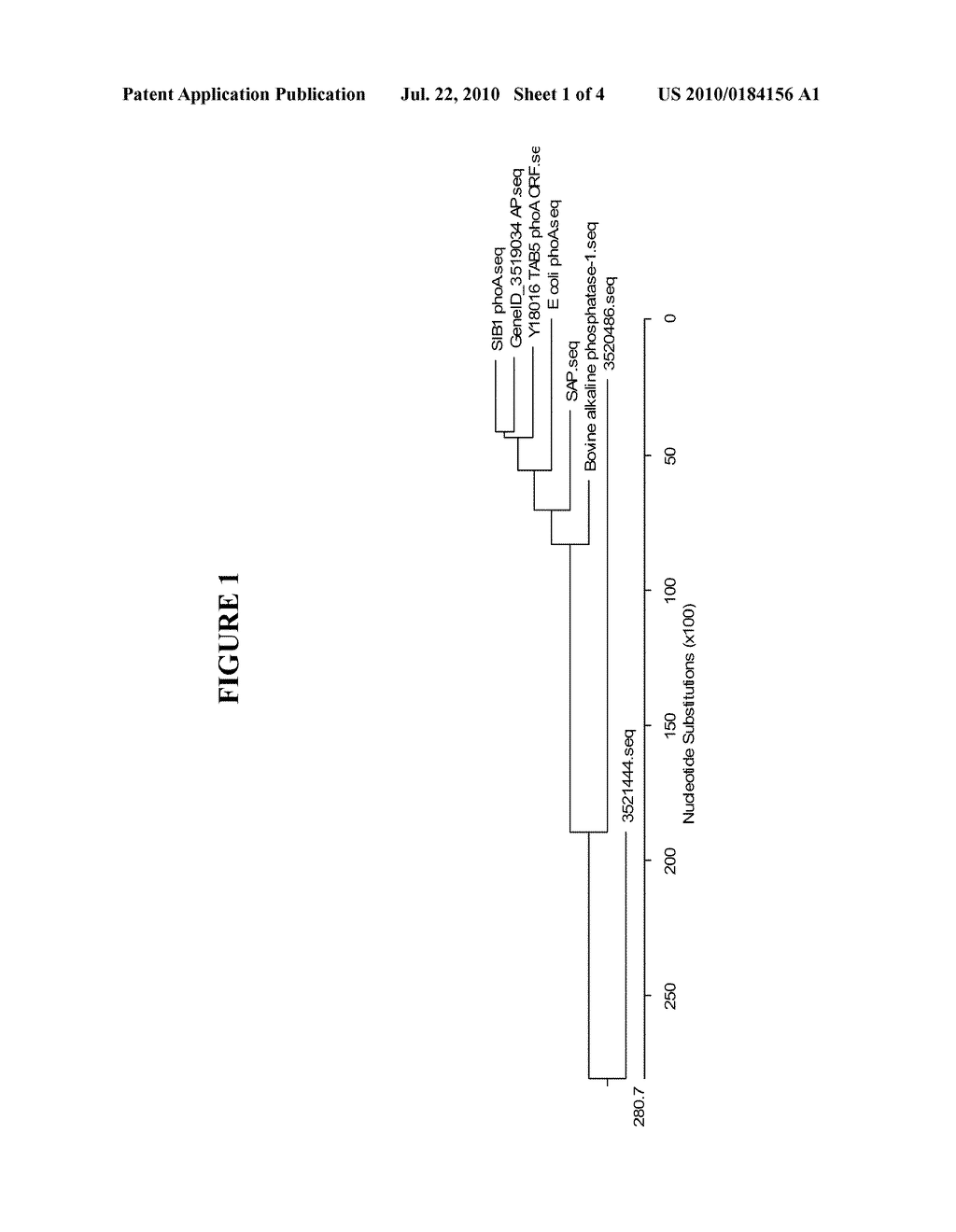 Recombinant Colwellia Psychrerythraea Alkaline Phosphatase and Uses Thereof - diagram, schematic, and image 02