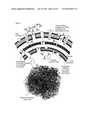 E. COLI PLASMID DNA PRODUCTION diagram and image