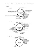 E. COLI PLASMID DNA PRODUCTION diagram and image