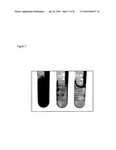 E. COLI PLASMID DNA PRODUCTION diagram and image