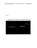 E. COLI PLASMID DNA PRODUCTION diagram and image