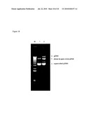 E. COLI PLASMID DNA PRODUCTION diagram and image