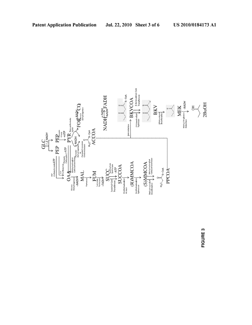 MICROORGANISMS FOR THE PRODUCTION OF METHYL ETHYL KETONE AND 2-BUTANOL - diagram, schematic, and image 04