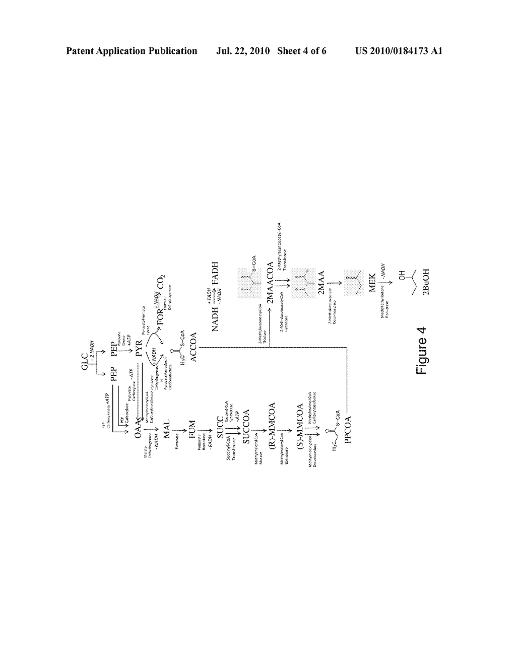 MICROORGANISMS FOR THE PRODUCTION OF METHYL ETHYL KETONE AND 2-BUTANOL - diagram, schematic, and image 05