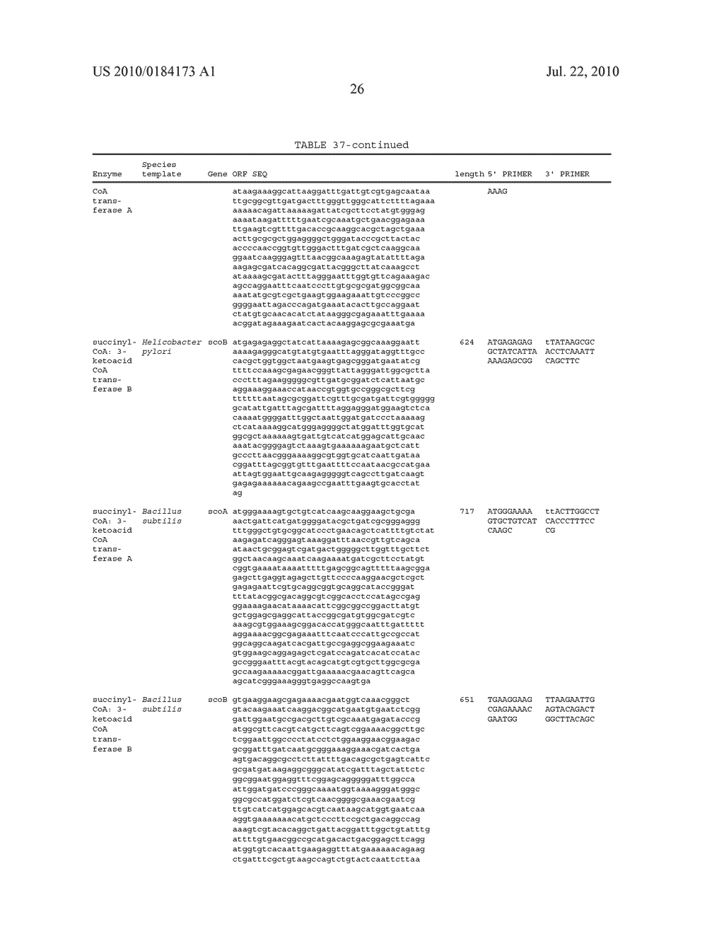 MICROORGANISMS FOR THE PRODUCTION OF METHYL ETHYL KETONE AND 2-BUTANOL - diagram, schematic, and image 33