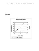 INCREASED ISOPRENE PRODUCTION USING MEVALONATE KINASE AND ISOPRENE SYNTHASE diagram and image