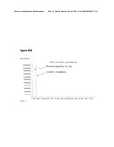 INCREASED ISOPRENE PRODUCTION USING MEVALONATE KINASE AND ISOPRENE SYNTHASE diagram and image