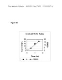 INCREASED ISOPRENE PRODUCTION USING MEVALONATE KINASE AND ISOPRENE SYNTHASE diagram and image