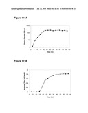 INCREASED ISOPRENE PRODUCTION USING MEVALONATE KINASE AND ISOPRENE SYNTHASE diagram and image