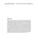 INCREASED ISOPRENE PRODUCTION USING MEVALONATE KINASE AND ISOPRENE SYNTHASE diagram and image