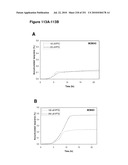 INCREASED ISOPRENE PRODUCTION USING MEVALONATE KINASE AND ISOPRENE SYNTHASE diagram and image