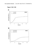 INCREASED ISOPRENE PRODUCTION USING MEVALONATE KINASE AND ISOPRENE SYNTHASE diagram and image